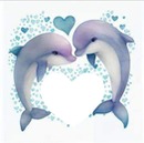 Amour de dauphin isabella