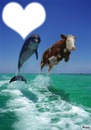 dophin et son amie
