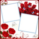 2 photos rose fleur love iena