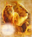 el leon