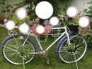 bicicleta florida