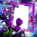 renewilly marco lila