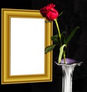 Red rose and frame