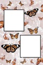 collage 2 fotos, fondo mariposas.