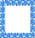marco azul