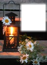 Coucher de soleil-lanterne-chandelle-marguerites