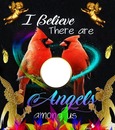 i belive there are angels