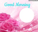 Good Morning - Roses