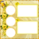 5 photos cadre fleur jaune iena