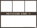 meylleure ami(e)  <3