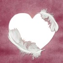 Corazón en plumas, 1 foto