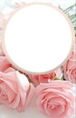 marco circular y rosas rosadas.