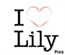 love lily