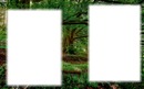erdő téjkép