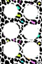 leopard <3