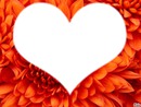 coeur sur fleur orange