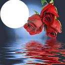 rosas de amor