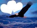 un aigle de la liberté ...