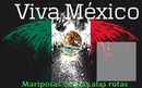 Viva mexico