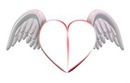 amour donne des ailes
