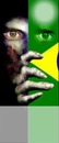 Brasil / Brazil RE