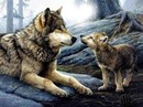 amour de loup