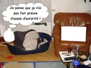 humour chien / chat