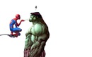 spiderman & hulk