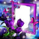 renewilly marco lila