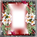 flower frame
