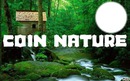 Coin Nature