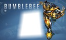 Bumblebee foco60