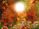 Cadre d'automne