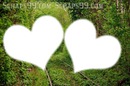 love forest