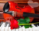 pianoforte violino rosa