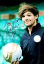 one direction louis