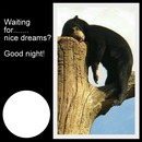 Waiting for nice dreams?