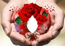 Manos con corazón y rosas rojas