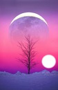 moon in winter