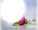 Fleur rose - perles - reflet
