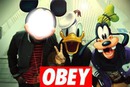 Mickey Obey