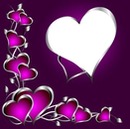 corazones, fondo púrpura, 1 foto