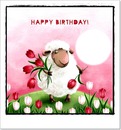 mouton anniversaire