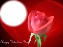 Valetine day