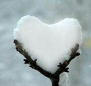 Herz im Schnee-Love