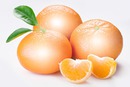 Fruta mandarina