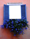 flower window