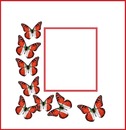 marco con mariposas de colores de la  bandera del Perú