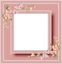 cadre rose fleurs