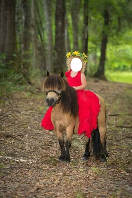 niña con pony Montage photo